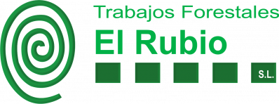 gallery/logo